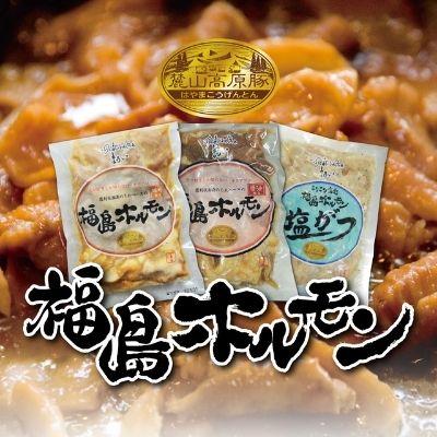 ふるさと納税 福島市 福島ホルモン3点セット(醤油、味噌、塩がつ)麓山高原豚使用【各2パック、計6パック入】No.1251