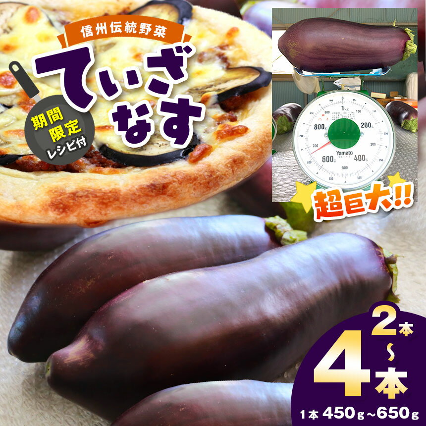 【ふるさと納税】【期間限定☆レシピ付】信州伝統野菜 天龍村産ていざなす 2本 or 4本 セット ｜伝統野菜 野菜 なす ナス 茄子 夏野菜 ていざなす 長野県 天龍村
