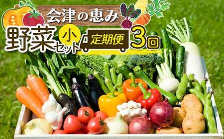 《定期便》＜3市町村共通返礼品＞会津の恵み野菜セット(小)《全3回》 朝採れ 野菜 お米 精米 米 セット 詰合せ 契約農家 朝採り 採れたて 新鮮 会津野菜 定期便 3回 3ヶ月 連続 F4D-1411