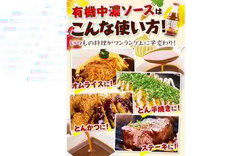 ソース 中濃ソース 職人の夢 200ml × 6本 光食品 株式会社《30日以内に出荷予定(土日祝除く)》無添加 調味料 砂糖不使用 とんかつ オムライス ソース 調味料 中濃 k-9