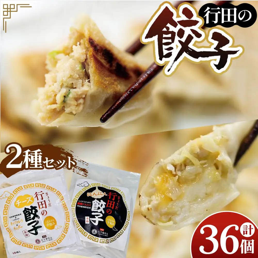 餃子セット（行田のチーズ餃子・行田のにんにく餃子）各1袋 No.416