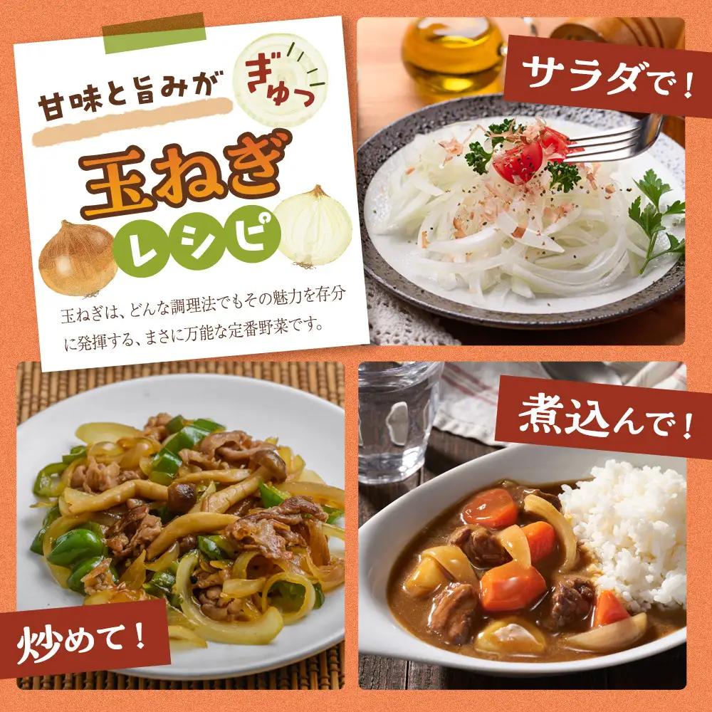 【先行予約】農家直送 低農薬 旭川産 玉ねぎＬサイズ20kg(2026年9月発送開始予定)_ | 玉ねぎ 05935