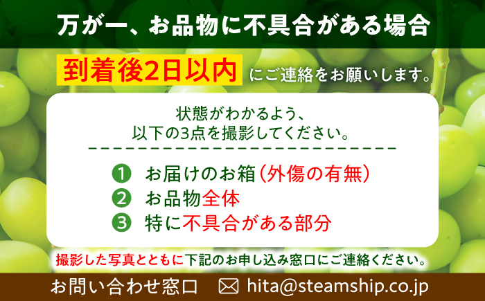 【先行予約・9月発送】 日田産シャインマスカット 1房 約700g　〜至福のしずく〜　日田市 / 松岡果樹園 [AREJ001]