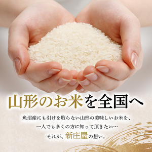 令和5年産 山形県産【雪若丸】無洗米 精米 2kg 米 お米 おこめ 山形県 新庄市 F3S-1898