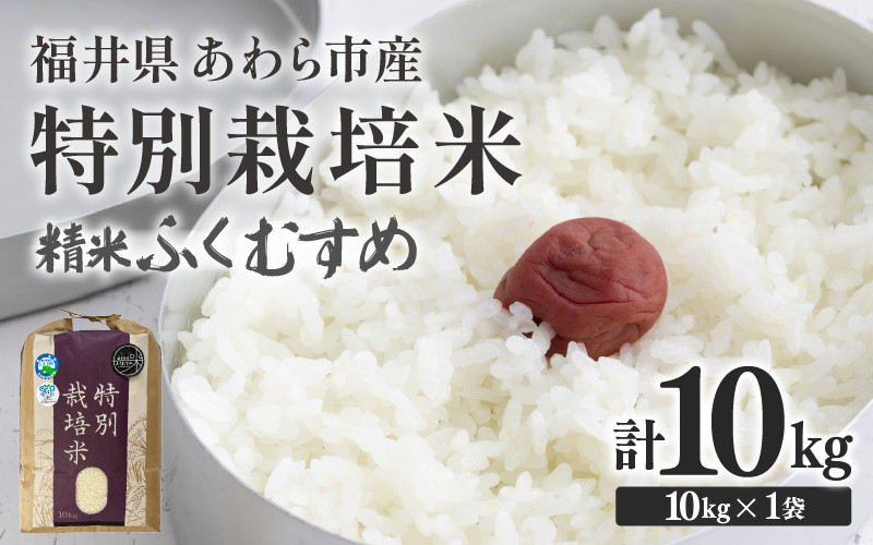 
            【先行予約】【令和7年産】化学肥料不使用 特別栽培米 ふくむすめ 精米 10kg × 1袋 / 白米 米 福井県あわら市産 美味しい 特別栽培米 減農薬 安心な米 旨味 甘み もっちり 冷蔵保管米 ※2025年9月下旬より順次発送 [aw010-b005]
          