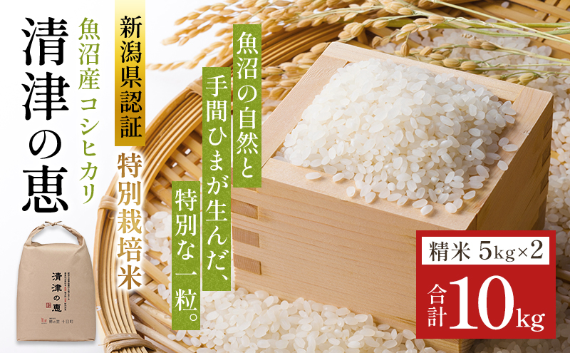 【令和8年産 先行予約】魚沼産特別栽培米コシヒカリ［清津の恵］精米10kg（5kgx2袋）