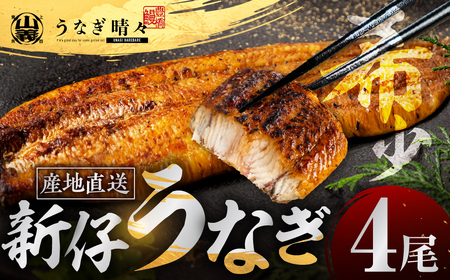 【定期便】蒲焼き４尾 ３ヶ月連続お届け うなぎ晴々 新仔 うなぎ 