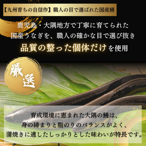 【ふるさと納税】九州産手焼きうなぎ蒲焼き 3尾(約600g) 訳あり [a1000] ※配送不可：北海道・沖縄・離島【返礼品】添田町 ふるさと納税