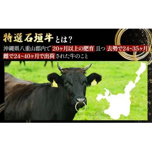 牛スジ500g×4パック　 IM-22