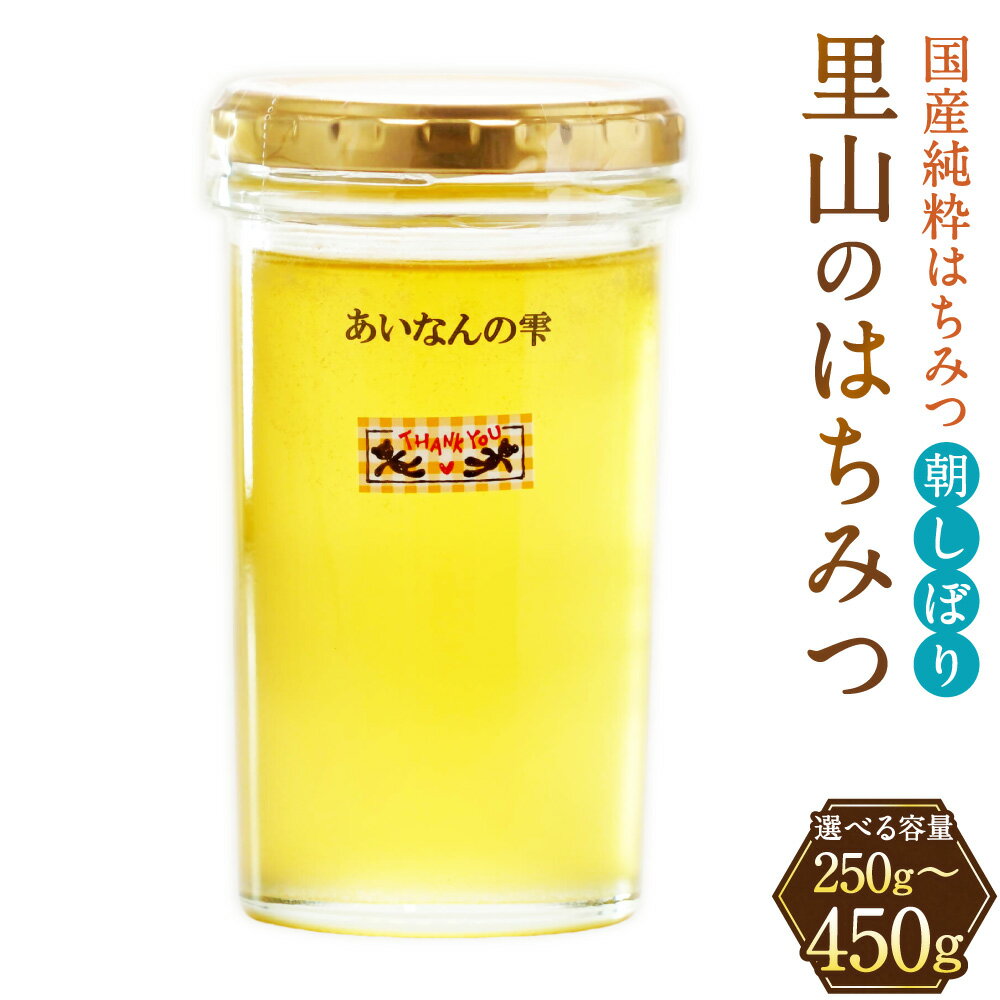 【ふるさと納税】はちみつ (250g / 450g) ＜選べる容量＞ 愛南産 蜂蜜 ハチミツ 天然はちみつ 国産 愛南町 愛媛県 送料無料 【2026年5月下旬から順次発送予定】 (327) (328)【えひめの町（超）推し！（愛南町）】