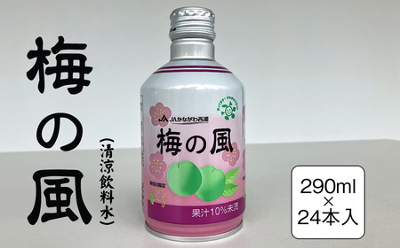 梅の風（清涼飲料水）　290ml×24本入り【 神奈川県 山北町 】