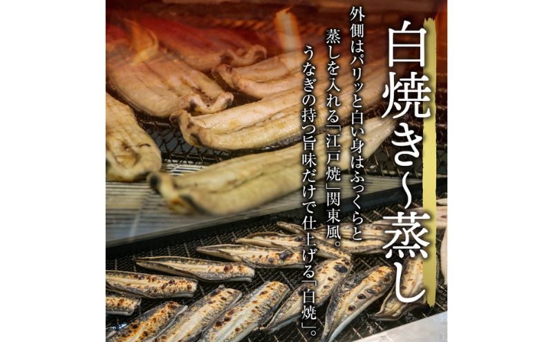 浜名湖産 うなぎ白焼 約140g×2尾入り うなぎ ウナギ 鰻 ブラ