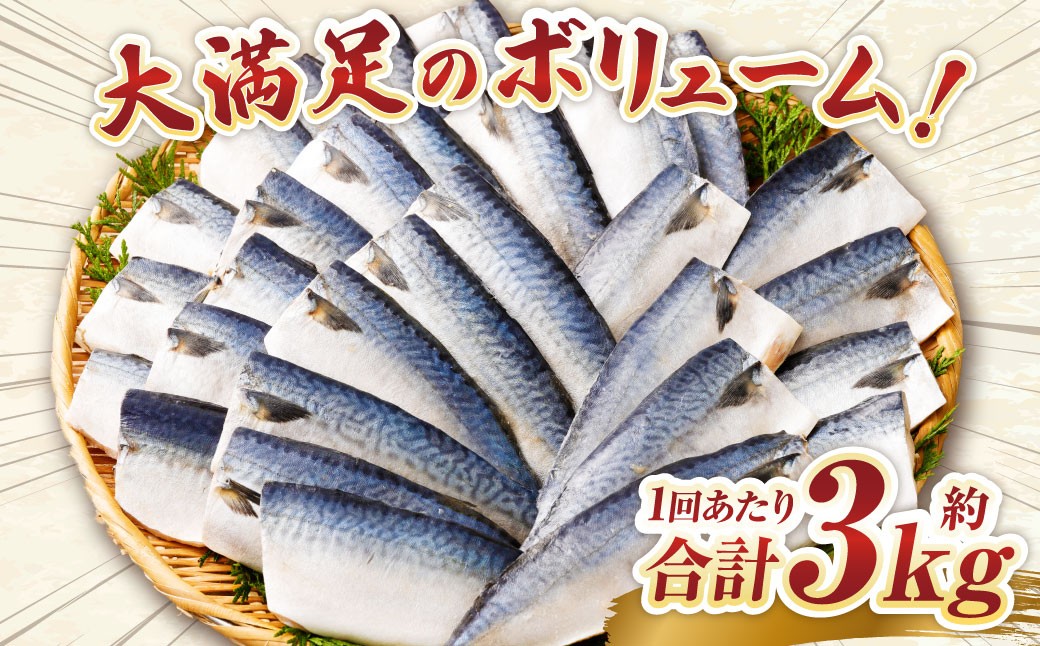【4ヶ月定期便】【訳あり】国産 ふっくら 極み塩サバ 計約3kg
