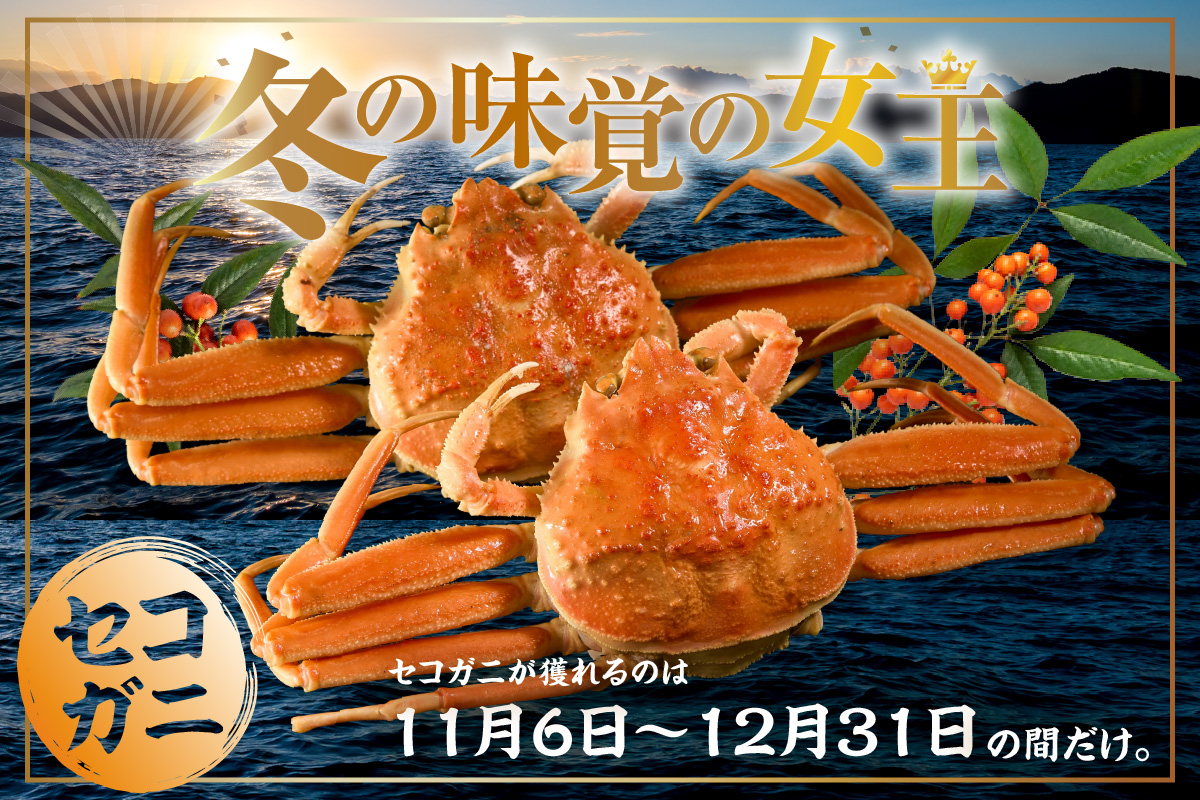 【先行予約】柴山産 茹でセコガニ 大3匹 1匹約200g 冷蔵【令和8年11月中旬以降発送予定】 かに 香美町 37-02