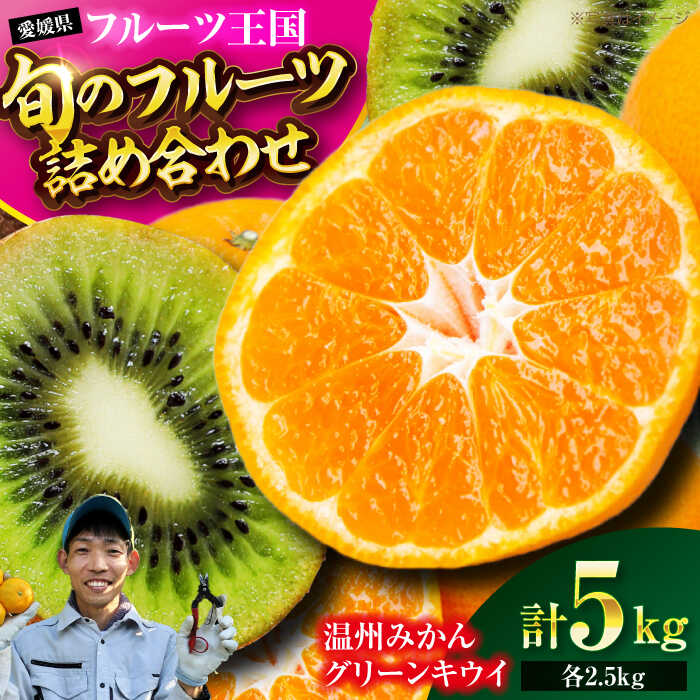 【ふるさと納税】【先行予約】【12月上旬より順次発送】 フルーツ セット 温州みかん 2.5kg グリーンキウイ 2.5kg （20〜25玉） | 人気 おすすめ ランキング 大洲市/玉川農園[AGBC010] 10000 10000円 以上