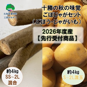十勝の秋の味覚野菜詰め合わせ（ごぼじゃがセット）【2026年秋出荷】（先行受付）【工房みみずく】《 10月中旬-10月下旬ごろ出荷》
