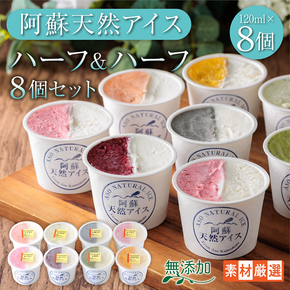 【ふるさと納税】ジェラート アイス 阿蘇天然アイス 8個 詰め合わせ 【ハーフ&ハーフ】 スイーツ デザート お菓子 お取り寄せ ギフト 贈答用 贈り物 お子様 おやつ 美味しい 贅沢 素材 豪華 冷凍 熊本県 阿蘇市