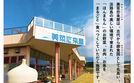 【美菜恋来屋】ほんまもん淡路島野菜BOX（小）
