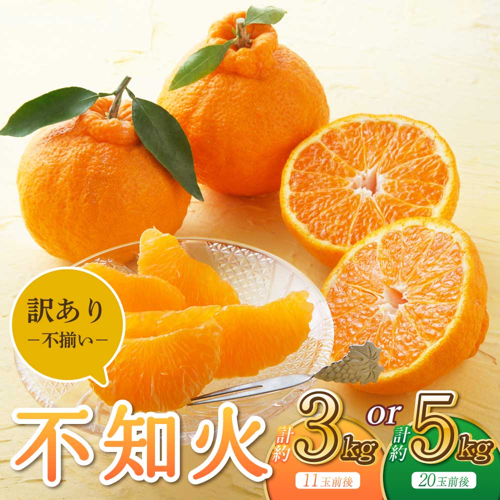 【ふるさと納税】宇城市産 訳あり品 不知火 約3kg 11玉前後 もしくは 約5kg 20玉前後 うちやま果樹園 【2025年3月上旬から6月下旬発送予定】