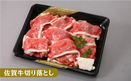 【全3回定期便】三栄のデイリーセット＜牛 豚 鶏＞【肉の三栄】佐賀牛 佐賀牛 牛肉 切り落とし 佐賀牛 牛肉 豚 佐賀牛 牛肉 ありたどり 佐賀牛 牛肉 切り落とし肉 佐賀牛 牛肉 モモ 佐賀牛 牛肉