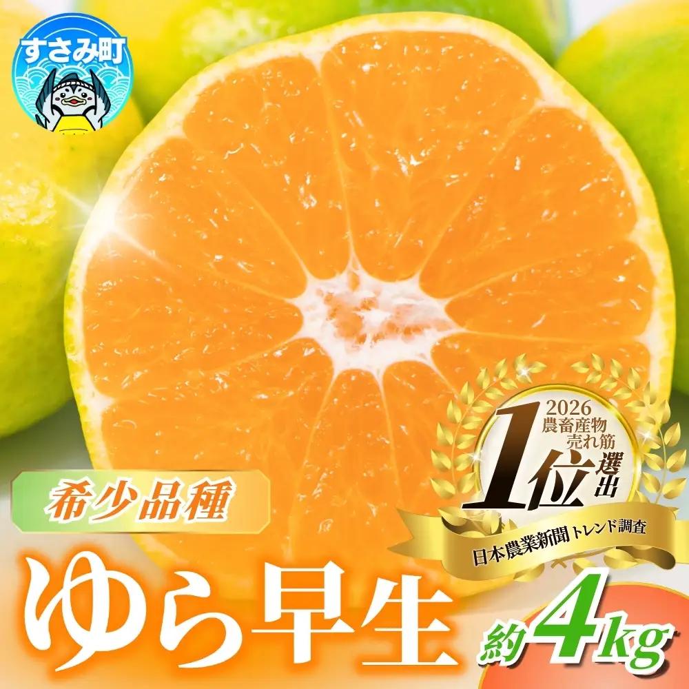 みかん【秋発送予約】 ゆら早生みかん 家庭用約4kg 【nuk162B】