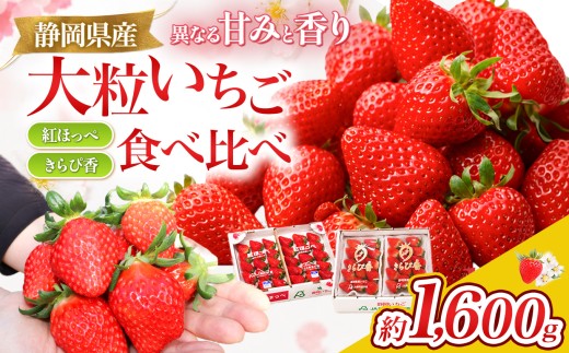 【先行予約/数量限定】名産地伊豆のきらぴ香・紅ほっぺ食べ比べセット（約400g×4パック）|いちご 紅ほっぺ きらぴ香 食べ比べ 果物 フルーツ 産地直送 期間限定 静岡県 伊豆の国市