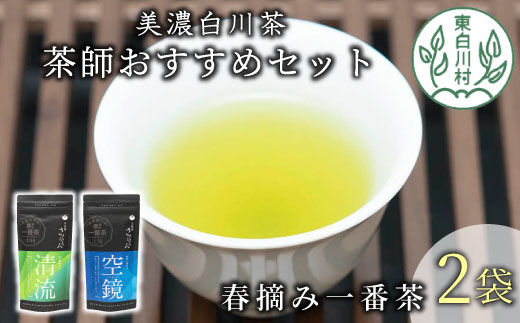 茶蔵園厳選 茶師のおすすめセット 2袋入 日本茶 煎茶