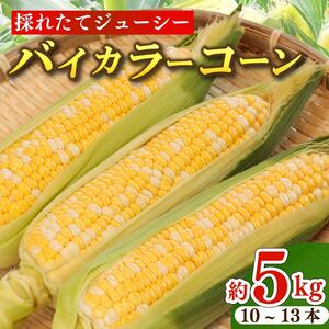とうもろこし バイカラーコーン 10～13本 約5㎏ 糖度 17～20度 コーン 甘い 美味しい 野菜 バーベキュー 産地直送 新鮮 生鮮 食品 山本耕業 静岡県 牧之原市