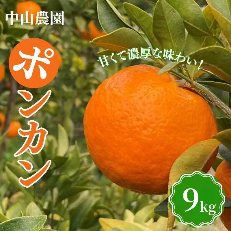 【先行予約】【期間限定】中山農園のポンカン９kg※1月から順次発送予定※ / 和歌山県 ぽんかん フルーツ 果物 柑橘 田辺市 【nak010-1】
