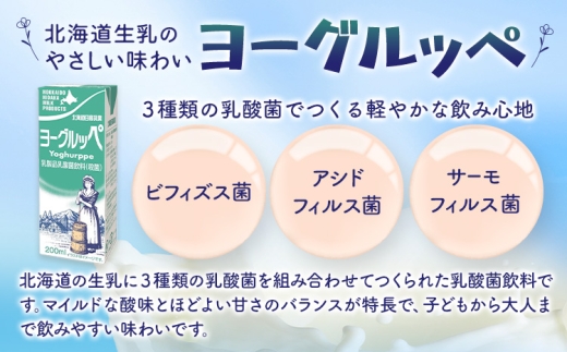 乳飲料 日高乳業 ヨーグルッペ 200ml 24本 《30日以内出荷予定(土日祝除く)》 北海道 日高町 ふるさと納税 飲料 乳酸菌 紙パック 常温 ドリンク 乳酸菌飲料 常温保存 朝食 おやつ 子供