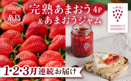 【全3回定期便】完熟 あまおう 270g × 4パック / あまおうジャム 140g × 3本【先行予約：2025年1月以降順次発送】 苺 いちご 糸島市 / slowberry strawberry [APJ004] 苺 いちご博多あまおう 福岡あまおう 九州いちご 糸島フルーツ あまおう あまおう定期便 あまおう毎月 あまおうジャム あまおういちご あまおうイチゴ あまおう苺 あまおうギフト あまおうフルーツ あまおう果物 あまおうお楽しみ あまおう博多 あまおう2パック