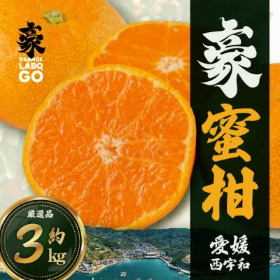 【ふるさと納税】豪 蜜柑　3kg(S～Lサイズ)【C88-2】【1660449】