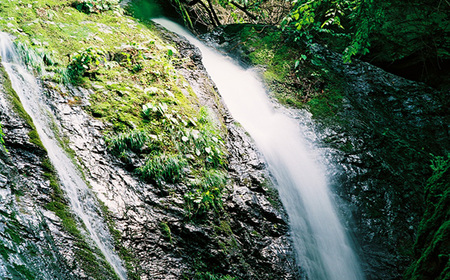 No.516 古代水500ml×24本