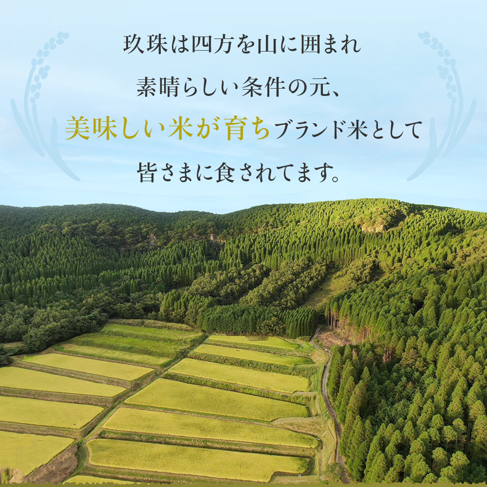 【令和7年産】湧水育ち ひとめぼれ 5kg 白米 米 お米 こめ コ