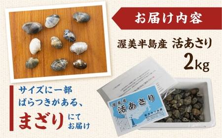 《先行予約》渥美産 旬の天然活あさり 2kg 先行予約 ふるさと納税 あさり 国産 ふるさと納税 アサリ 採れたて ふるさと納税 砂抜き 海鮮 魚介類 魚介 貝 送料無料 産地直送 応援 寄附