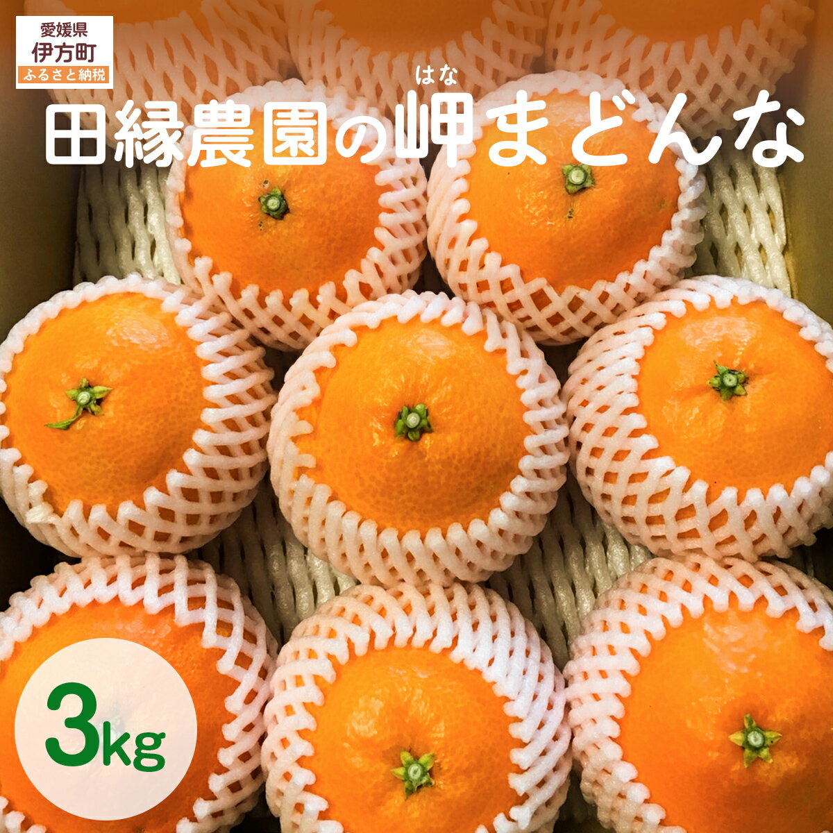 【ふるさと納税】【先行予約】【数量限定】田縁農園の岬（はな）まどんな（生果）3kg （2025年11月25日より順次発送） 【ふるさと納税 人気 おすすめ ランキング みかん ミカン 蜜柑 まどんな はなまどんな フルーツ 果物 田縁農園 愛媛県 伊方町 送料無料】 IKTA003