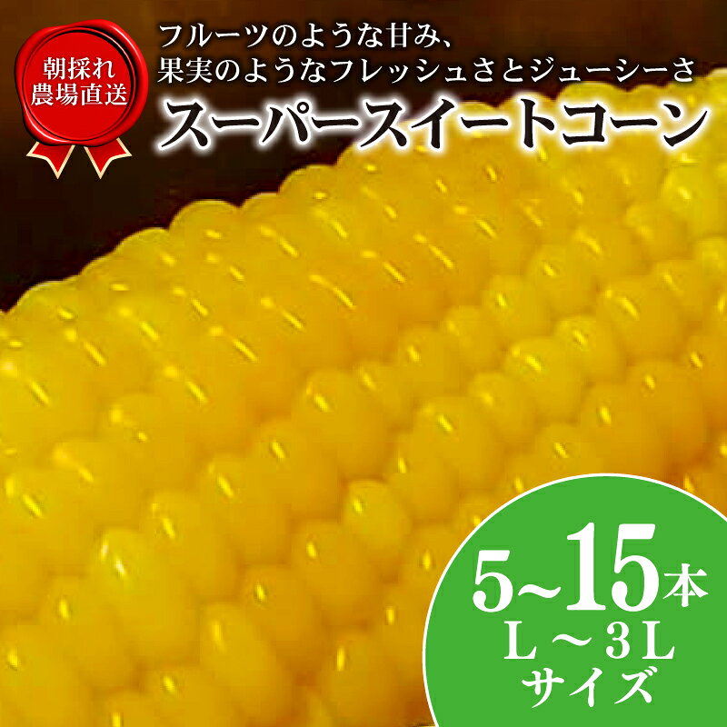 【ふるさと納税】 【数量限定】 とうもろこし スーパースイートコーン 5本 - 15本 選べる 容量 2026年6月中旬発送開始予定 期間限定 生 トウモロコシ コーン オオモノ 旬 野菜 夏野菜 冷蔵発送 送料無料 産地直送 千葉県 旭市 オオナギファーム