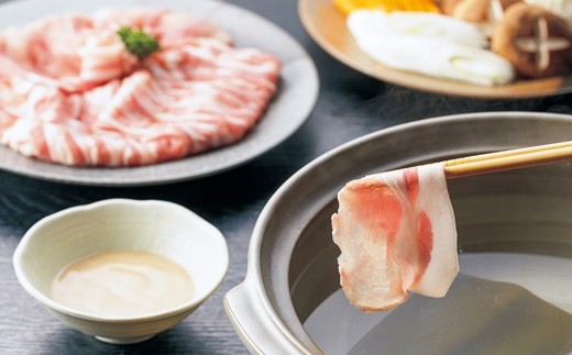 白金豚（プラチナポーク）バラエティセット 【169】