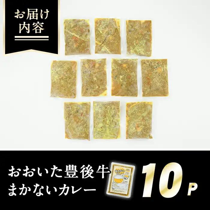 肉屋のまかない豊後牛カレー(計2.3kg・230g×10P) カレー レトルト レトルトカレー 簡単調理 湯煎調理 ビーフカレー おおいた豊後牛 ご当地カレー【110200201】【吉野】
