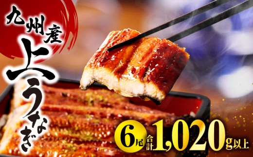 九州産うなぎ蒲焼6尾(計1,020g＆さんしょう、たれ付き)  鰻 うなぎ ウナギ 国産 国産鰻 国産うなぎ 鰻蒲焼き うなぎ蒲焼 蒲焼き うな重 ひつまぶし タレ 鰻のタレ うなぎのタレ 冷凍 6尾 惣菜 贈答 魚介 化粧箱入 簡単調理 丑の日 土用の丑の日 ご褒美 記念日 冬うなぎ 宮崎県 宮崎市_M040-013_01