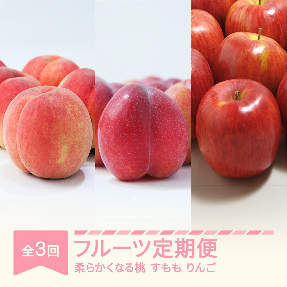 【ふるさと納税】【先行予約】 フルーツ定期便 全3回 白桃 すもも りんご 秀品 2026年産 令和8年産 送料無料 ※沖縄・離島への配送不可 sb-fthpl3