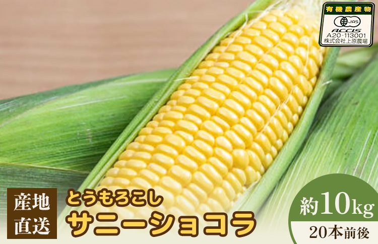 【2026年度発送分】上原農場直送 有機栽培とうもろこし (サニーショコラ) 約10kg 約20本前後 | ふるさと納税 北海道 中標津 なかしべつ とうもろこし サニーショコラ とうきび コーン 野菜 夏野菜 夏 産地直送 新鮮 採れたて 朝採れ 甘い オーガニックお取り寄せ ワンストップ マイページ 上原農場 中標津町【66020】