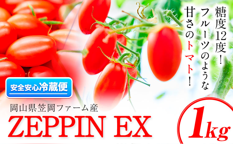ZEPPIN EX(エクセレント)  1kg箱 (ZEPPIN EX) 平均糖度12度 甘い フルーツトマト トマト ミニトマト フルーツトマト トマト ミニトマト とまと 野菜 トマト ---C-39a---