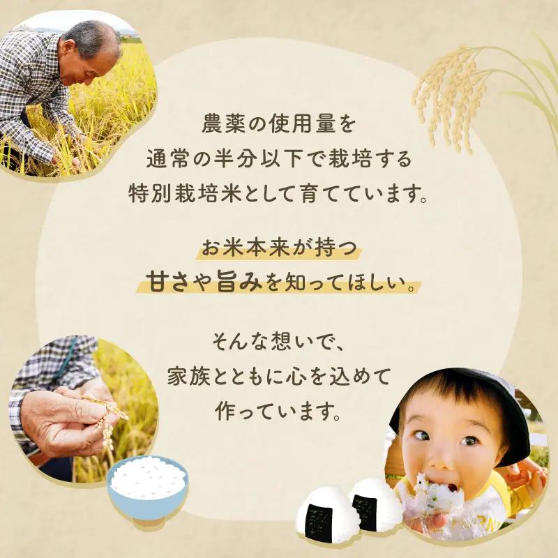  【6回定期便】減農薬 特別栽培米 畑中さん ひのひかり 玄米 5kg ヒノヒカリ 奈良県