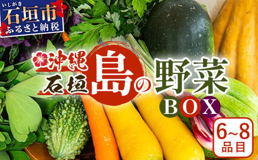 
            石垣島産 野菜 BOX 1箱（定番・旬の野菜６~８種類）野菜パワーをあなたに！！｜沖縄 石垣島 直送 旬 新鮮 島野菜 野菜セット 野菜 やさい 季節のお野菜 旬の野菜セット やさいセット 島野菜 島やさい 詰め合わせ CK-1
          