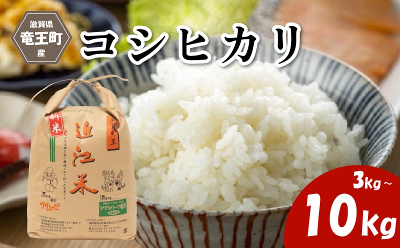 
                  【 令和8年産 新米 】 コシヒカリ 精米 玄米 選べる 3kg 5kg 10kg 環境こだわり米 2026年産 化学肥料不使用 特別栽培米 甘み キラキラ つややか 炊飯器 国産 近江米 贈り物 ギフト プレゼント 農家応援 人気 農家直送 産地直送 滋賀県 竜王町 ふるさと納税
                