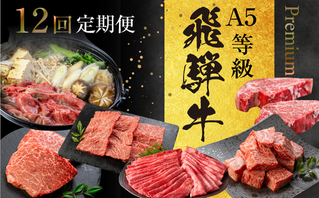 《定期便》[A5等級]飛騨牛プレミアム12ヶ月定期便 小川ミート 牛肉 肉 和牛 定期便 年間 毎月