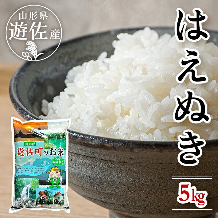 【ふるさと納税】はえぬき 5kg×1袋 令和6年産米 山形県遊佐産 東北 遊佐町 庄内地方 庄内平野 米 お米 精米 白米 庄内米 ごはん ご飯