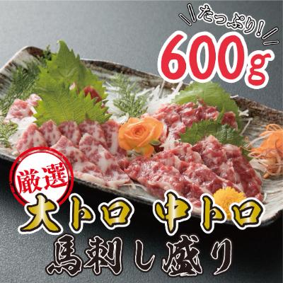 ふるさと納税 多良木町 【熊本　と畜】大トロ中トロ馬刺し盛り600g(多良木町)