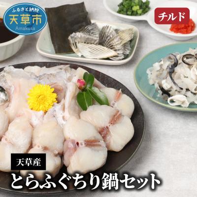 ふるさと納税 天草市 【指定日必須】天草産とらふぐちり鍋セット_S044-007A